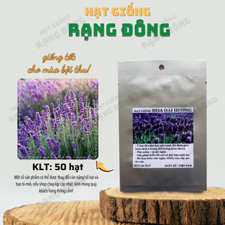 Hạt giống Hoa Hoa Oải Hương (30 hạt) - Hoa Lavender trồng chậu hoặc cắt cành - Hạt giống Rạng Đông