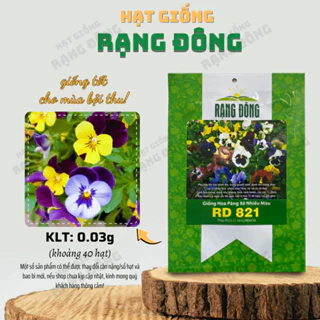 Hạt giống Hoa Păng Xê Nhiều Màu Rd 821 (0,03g~40 hạt) hoa Pansy nhiều màu, dễ trồng, cây cao 15-20 cm - Hạt giống Rạng Đ