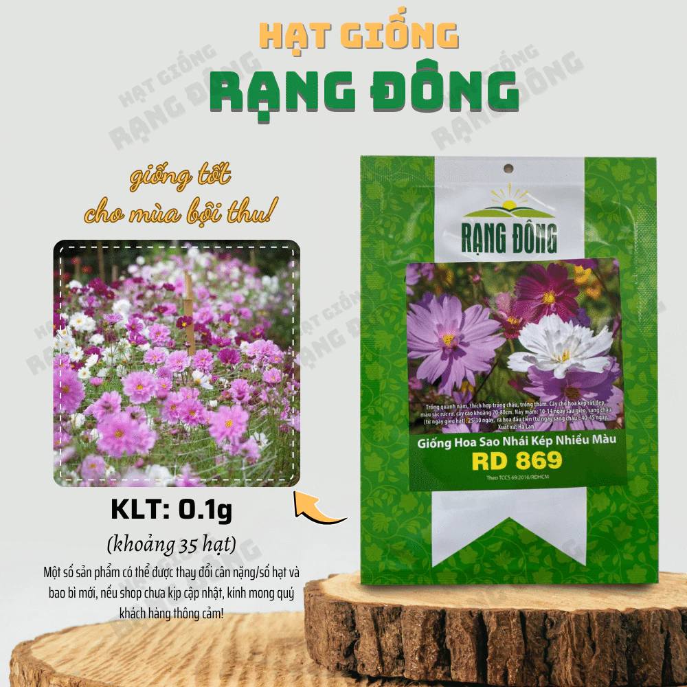 Hạt giống Hoa Sao Nhái Kép Nhiều Màu Rd 869 (0,1g~35 hạt) nhiều màu, dễ nảy mầm, trồng quanh năm - Hạt giống Rạng Đông