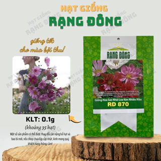 Hạt giống Hoa Sao Nhái Loa Kèn Nhiều Màu Rd 870 (0,1g~35 hạt) dễ nảy mầm, trồng quanh năm - Hạt giống Rạng Đông