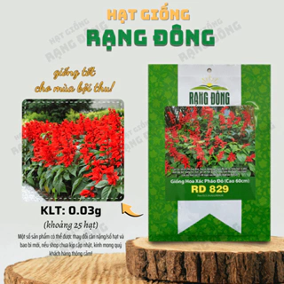 Hạt giống Hoa Xác Pháo Đỏ (60Cm) Rd 829 (0,03g~25 hạt) màu rực rỡ, trồng chậu quanh năm - Hạt giống Rạng Đông