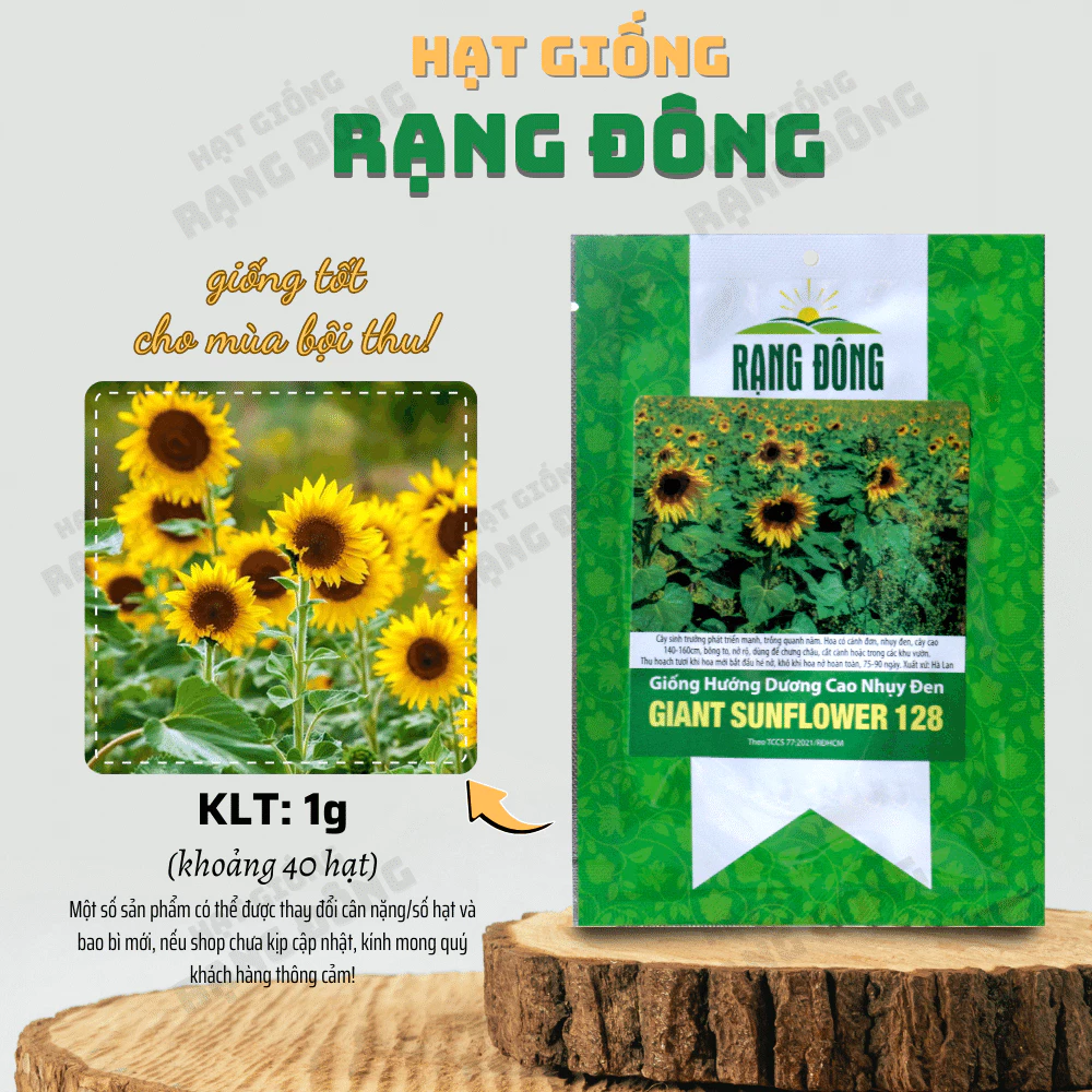 Hạt giống Hoa Hướng Dương Cao Nhụy Đen 128 (1g~40 hạt) thân cao, trồng chậu hoặc cắt cành - Hạt giống Rạng Đông