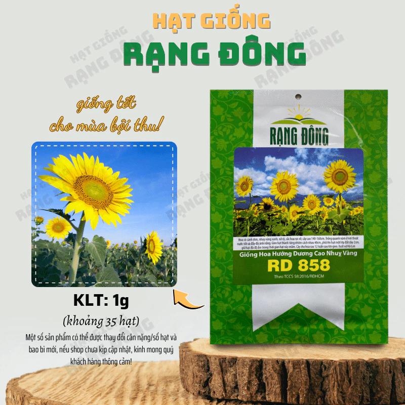 Hạt giống Hoa Hướng Dương Cao Nhuỵ Vàng Rd 858 (2g~35 hạt) trồng chậu hoặc cắt cành, quanh năm - Hạt giống Rạng Đông