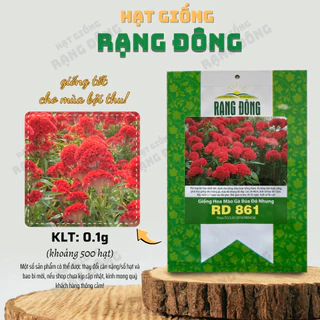 Hạt giống Hoa Mào Gà Búa Đỏ Nhung Rd 861 (0,1g~500 hạt) sinh trưởng khỏa, trồng quanh năm - Hạt giống Rạng Đông