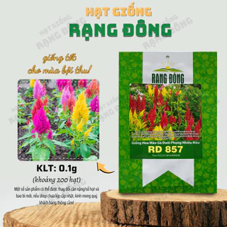 Hạt giống Hoa Mào Gà Đuôi Phụng Nhiều Màu Rd 857 (0,1g~200 hạt) trồng quanh năm, nảy mầm tốt - Hạt giống Rạng Đông