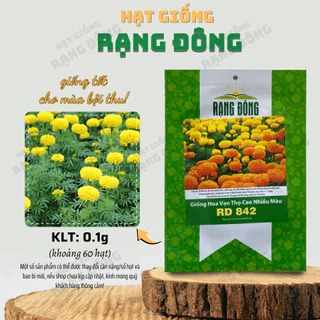 Hạt giống Hoa Vạn Thọ Cao Nhiều Màu Rd 842 (0,1g~60 hạt) hoa to, thân cao 70-80 cm - Hạt giống Rạng Đông