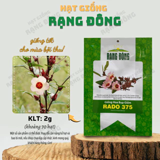 Hạt giống Hoa Bụp Giấm Rd 375 (2g~70 hạt) nhiều công dụng, nảy mầm tốt, sinh trưởng khỏe - Hạt giống Rạng Đông