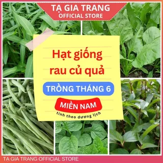 Hạt giống rau củ quả dễ trồng, năng suất cao tháng 6 ở miền Nam