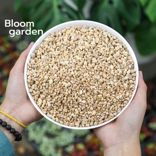 (1kg) Đá Masato - Sạch bụi, không vụn - Rải mặt, Kích rễ, giúp sen đá lên màu nhanh | Bloom Garden