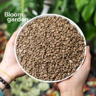 [1kg] Đá Pumice - Đá Anh Vũ nhập khẩu Indonesia - Kích rễ, trải mặt chậu loại cao cấp | Bloom Garden