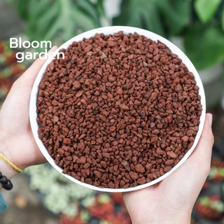(1kg) Đá Lava đỏ (Nham Thạch đỏ) - Nhập khẩu Indonesia - Chuyên dùng cho sen đá, bonsai, làm nền hồ cá | Bloom Garden