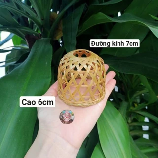 Bội gà tí hon