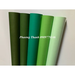 giấy Mỹ thuật 70g, khổ 50x70cm, tone xanh lá