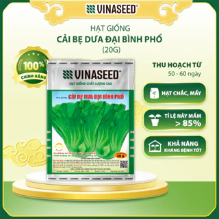 Hạt Giống Cải Bẹ Đại Bình Phổ Vinaseed gói 20g