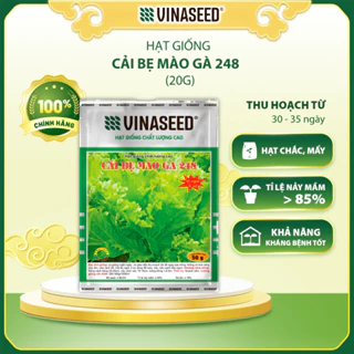 Hạt Giống Cải Bẹ Mào Gà 248 Vinaseed túi 20g