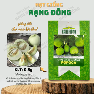 Hạt giống Dưa Lê Popoca (0,5g~35 hạt) trái siêu ngọt, thơm, chắc quả, trồng quanh năm- Hạt giống Rạng Đông