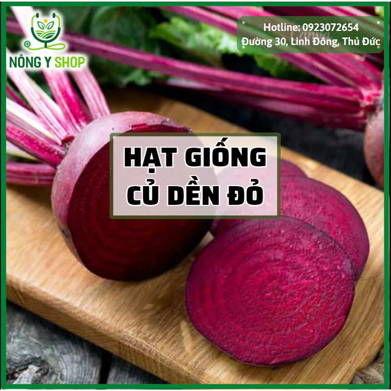 Hạt giống Củ dền đỏ Rạng Đông Rado 702