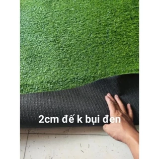 Combo 4m2 thảm cỏ nhân tạo 2cm đế sạch sẽ