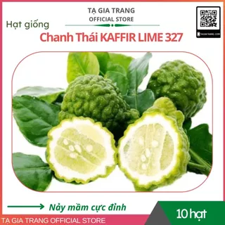 Hạt giống chanh Thái KAFFIR LIME - Gói 10 hạt