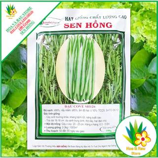 Hạt Giống Đậu Cove Leo SH126 (đậu Cô Ve) - Gói 100G - Sen Hồng - Hoa Và Rau Store