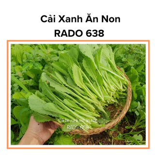 20g Hạt giống rau cải xanh ăn non mau thu hoạch, Hạt giống RADO 638