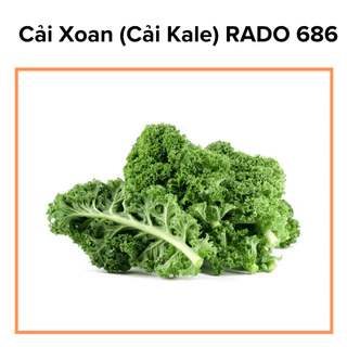Hạt Giống Cải Xoăn (Cải Kale) Dễ Trồng, Hạt Giống RADO 686