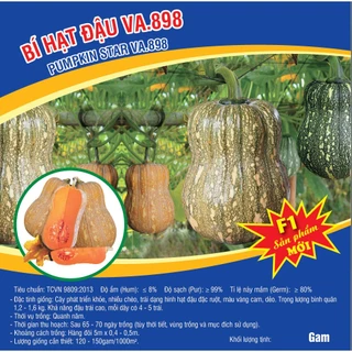 Hạt giống Bí Hạt Đậu F1 (VA.898) 10 hạt