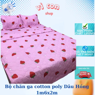 Bộ Chăn Ga Cotton Poly 5 Món - 4 Món Dâu Hồng ( 1M6 x 2M ) - ( 1 Drap + 2 Vỏ Gối Nằm + 1 Chăn Hè + 1 Vỏ Gối Ôm ) 123 đán