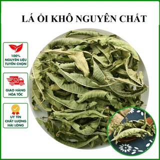 1Kg lá ổi Thanh Hà khô nguyên chất, trà lá ổi