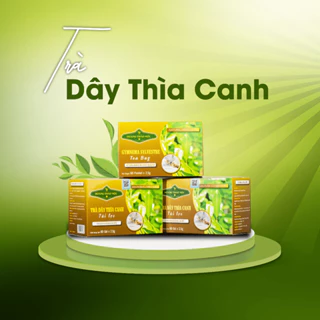 Trà Dây Thìa Canh túi loc hộp 150gr