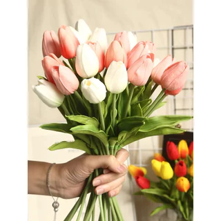 1 CÀNH HOA TULIP THƠM CHỌN MÀUU DECOR TRANG TRÍ ĐỂ BÀN QUÀ TẶNG 8/3 - 20/10 - 20/11