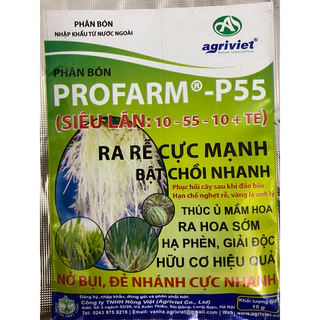 Phân kích thích sinh trưởng cây trồng, kích thích nảy mầm ra rễ tăng khả năng nảy chồi