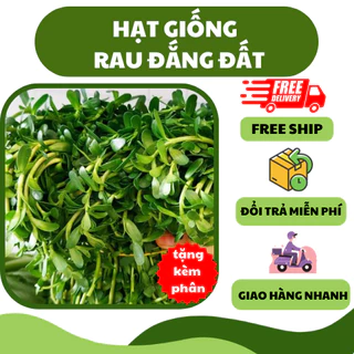 Hạt giống rau đắng đất (0.1 gram) - thơm ngon dễ trồng, thanh mát, nhiều dinh dưỡng, trồng quanh năm