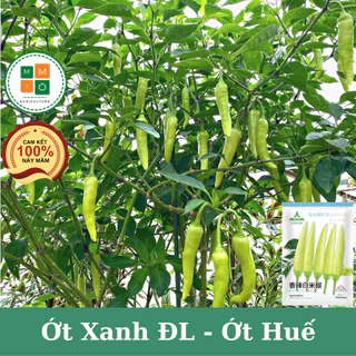 Hạt giống ớt Huế - ớt xanh Đài Loan F1 (siêu cay, giòn, thơm ngon)