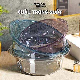 Thau nhựa trong suốt chất liệu PP cứng cáp, Chậu trong suốt an toàn chịu nhiệt tới 100 độ, có móc treo chắc chắn BOXHOME