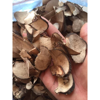 1kg cây béo đen thát lát phơi khô, sâm Bảo Ngọc rừng Bắc Giang