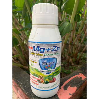 Siêu Mg Zn 500ml : Tăng diệp lục tố giảm Vàng lá, xanh dày lá, ngừa bệnh, Lớn trái, Xanh gai