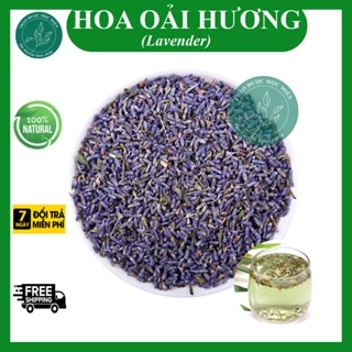 Trà Nụ Hoa Oải Hương, Nụ Hoa Lavender sấy lạnh màu tím đẹp Thơm Ngào Ngạt