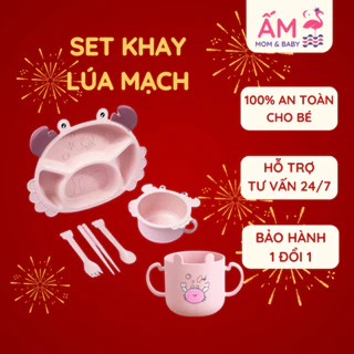 Set Khay Ăn Dặm Lúa Mạch Hình Cua Ấm Baby 6 Món An Toàn Chống Đổ Cho Em Bé Bát Khay Muỗng Ăn Dặm Cho Bé Ấm Gift Decor