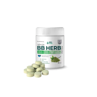 Viên Sữa BB Herb hương Matcha - Viên sữa thuần chay