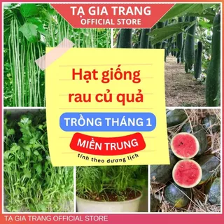 Hạt giống rau củ quả dễ trồng, năng suất cao tháng 1 ở miền Trung