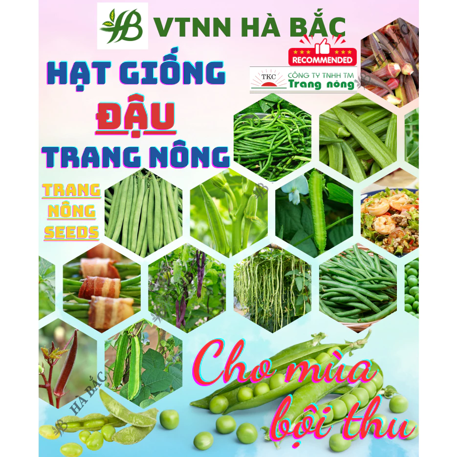 Hạt Giống Các Loại Đậu Trang Nông, Dễ Trồng, Trái To, Trái Dài, Siêu Trái, Trồng Chậu Hoặc Leo Giàn - Hạt giống tốt