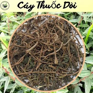 Cây Thuốc Dòi (cây bọ mắm) - Loại đẹp sấy khô, túi 500g và 1kg