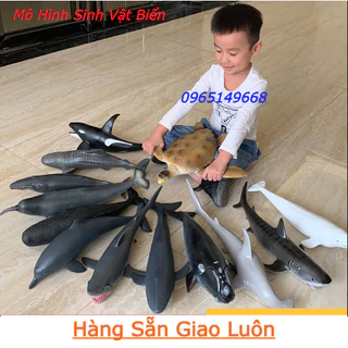 Mô hình sinh vật biển loại To mô phỏng nhiều loại cá làm đồ chơi nhận thức cho trẻ em