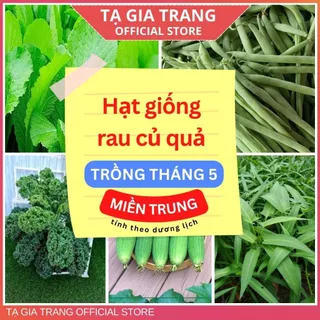 Hạt giống rau củ quả dễ trồng, năng suất cao tháng 5 ở miền Trung