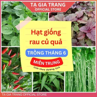 Hạt giống rau củ quả dễ trồng, năng suất cao tháng 6 ở miền Trung