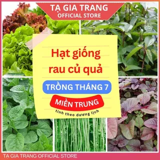 Hạt giống rau củ quả dễ trồng, năng suất cao tháng 7 ở miền Trung