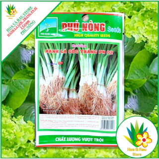 Hạt giống HÀNH LÁ GỐC TRẮNG PN 02 - 2Gram - Phú Nông - Hoa và Rau Store