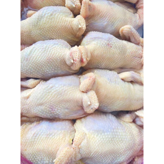 GÀ DAI NGUYÊN CON KHÔNG ĐẦU, KHÔNG CHÂN ,Nhập khẩu trực tiếp từ Hàn Quốc size to ú nụ 🐔