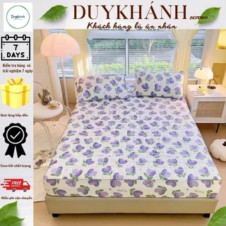 Bộ ga gối cotton đũi 3 món chần bông, dệt bông xơ đậu nành mềm mại thoáng mát